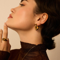 Złote kolczyki koła z oczkiem tygrysim Nocturne