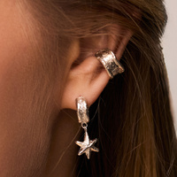 Srebrna nausznica STARS