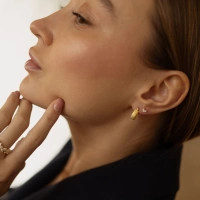 Złote kolczyki z cyrkoniami Birdy