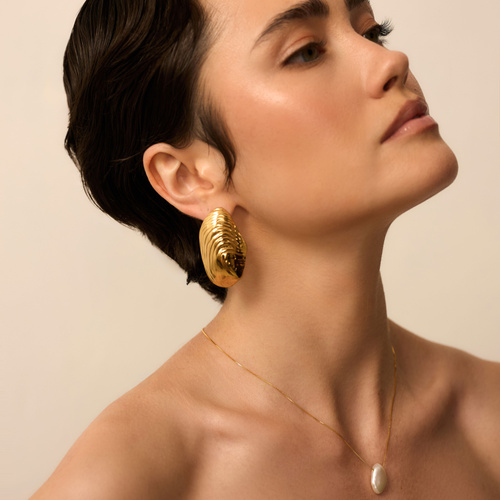 Złote kolczyki Clam Shell